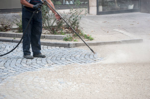 Best Animal Enclosure Cleaning  in East Rutherford, NJ
